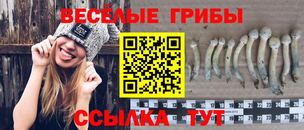 Галлюциногенные грибы Magic Shrooms  Вход с VPN  Лениногорск 