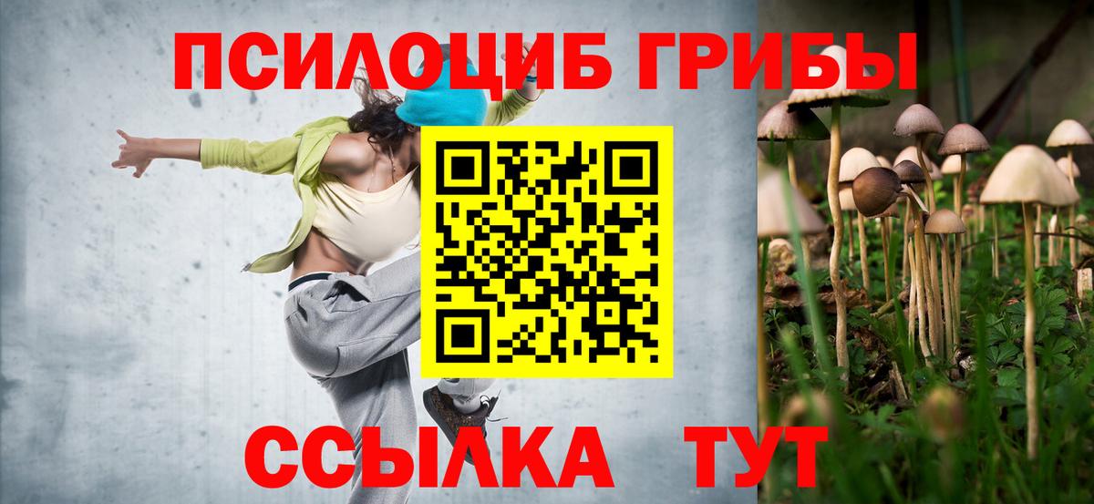 Галлюциногенные грибы Psilocybine cubensis Лениногорск